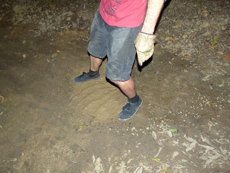 P1160386.jpg